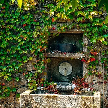 Just Like - Casa Da Bouca Velha *