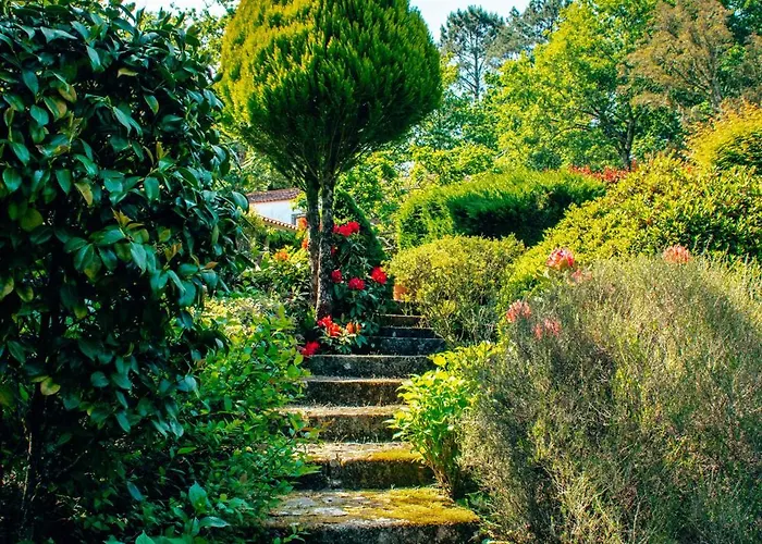 Just Like - Casa Da Bouca Velha Villa