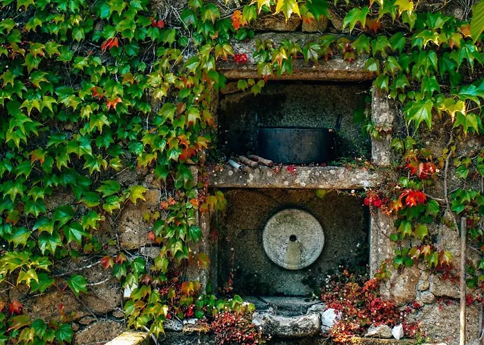 Just Like - Casa Da Bouca Velha *